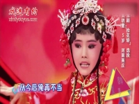 豫劇電影抬花轎演員表(戲曲大全 河南豫劇全場戲電影抬花轎)