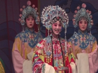 秦腔康亞嬋盼子唱段(秦腔名家康亞嬋盼子)