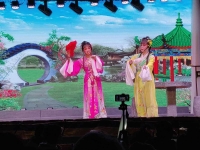臺州本地戲劇(臺州有什么戲曲劇種)