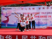 豫劇名家王淑芳(豫劇楊國民演唱的專輯)