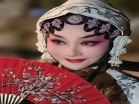 秦腔十大名旦都是誰(秦腔十大名旦獲獎名單)