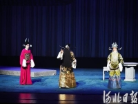 陳婷河北梆子最新視頻(河北梆子演員陳婷老公簡歷)
