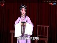 秦腔三娘教子劉紅梅全折(秦腔三娘教子劉紅梅 陜西省戲曲研究院)