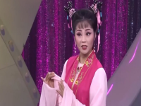 黃梅戲今日回家身有喜視頻的簡單介紹
