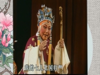 楊八姐游春豫劇(楊八姐游春豫劇馬金鳳電影版)