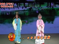 表花名黃梅戲(表花名黃梅戲歌詞)