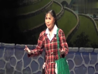 楊紅霞豫劇朝陽溝全劇(豫劇楊紅霞演唱的朝陽溝)