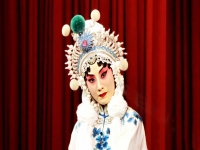 京劇白蛇傳張火丁(京劇白蛇傳張火丁主演)
