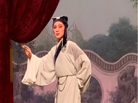 徐標(biāo)新越劇唱段大全(越劇男小生徐標(biāo)新老婆)