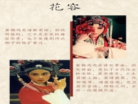 中國戲曲劇種排名(中國戲曲劇種排名100)