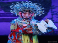 上黨梆子貍貓換太子的簡單介紹