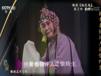 桃花庵豫劇崔蘭田(桃花庵豫劇崔蘭田高清)