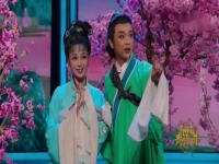 黃梅戲經(jīng)典片段(黃梅戲經(jīng)典片段經(jīng)典片段韓再芬老師女駙馬選段)