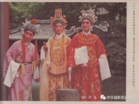 越劇演員金美芳(越劇演員金美芳他演過的作品飛行員視頻)
