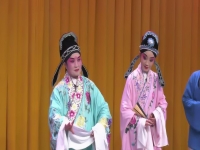 膠州茂腔戲曲大全(茂腔大全膠州茂腔姊妹易嫁)