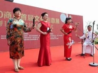 河南墜子一百零八俠(河南墜子一百零八俠20集)