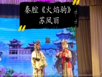 秦腔電影火焰駒(秦腔電影火焰駒打路)