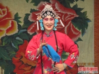 河南戲曲大全豫劇選段(河南豫劇戲曲大全視頻播放)