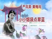 嚴鳳英黃梅戲大全視頻(嚴鳳英黃梅戲100首經典)