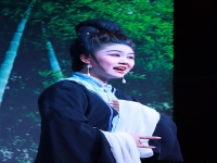 黃梅戲第一人(黃梅戲第一人馬蘭)