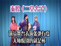 上黨梆子二堂舍子(上黨梆子全本帶字幕)