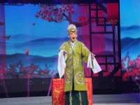 河南有什么戲曲劇種(河南都有什么戲曲劇種)