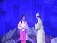 越劇九斤姑娘選段(越劇九斤姑娘選段大全)