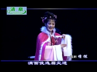 越劇金玉情劇情介紹(越劇金玉情劇情介紹全劇)