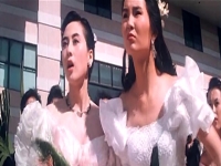 黃梅戲雙龍會(黃梅戲楊家將雙龍會)