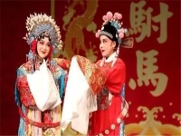 戲曲都有什么劇(戲曲都有什么劇名)