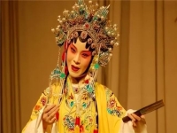 戲曲藝術三大特征(戲曲藝術有三大顯著特點)