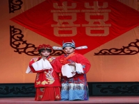 豫劇抬花轎賞析(抬花轎豫劇選段詞)