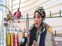 秦腔五典坡大登殿全本(秦腔五典坡來了一位長官視頻)